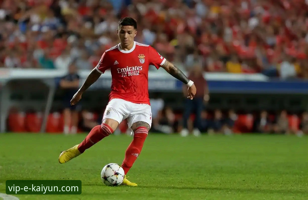 阿根廷新星重伤无缘世界杯：一次在开云体育平台的深度赛事追踪评测